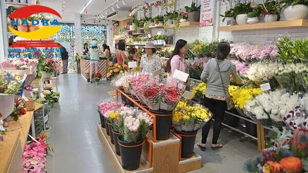 Ở đâu có báo giá van gió một chiều rẻ cho cửa hàng hoa?